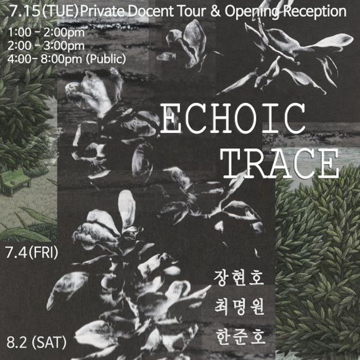 Echoic Trace